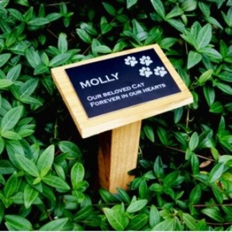 Lyanna Wood No Theme Memorial Plaque/Stone