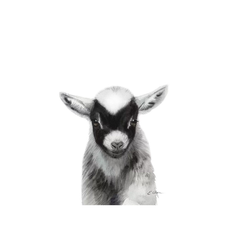 Black Baby Goat - Wrapped Canvas Painting, 101.6cm H x 66.04cm W