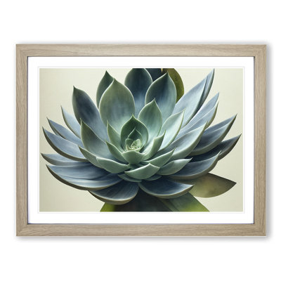 Watercolour Succulent Plant Vol.4 - Single Picture Frame Print