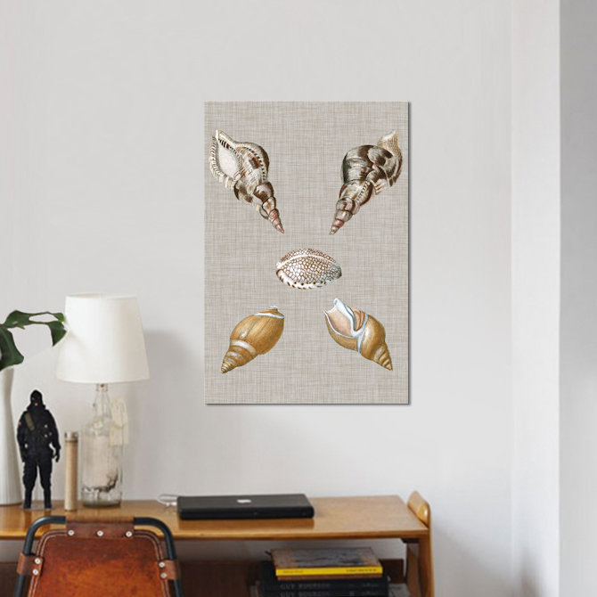 Coquillages sur toile IV par Vision Studio - Giclée sur toile tendue avec châssis, H 40 po x l 26 po x P 1,5 po, Toile tendue