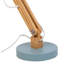 Aakash Adjustable Desk Lamp