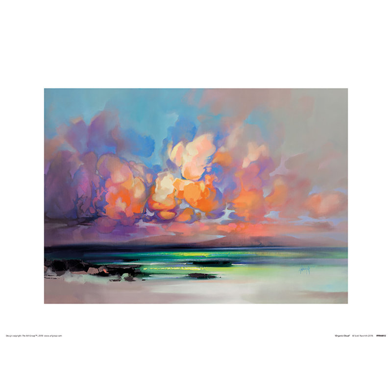 Organic Cloud by Scott Naismith - No Frame Painting, 30 cm H x 40 cm W