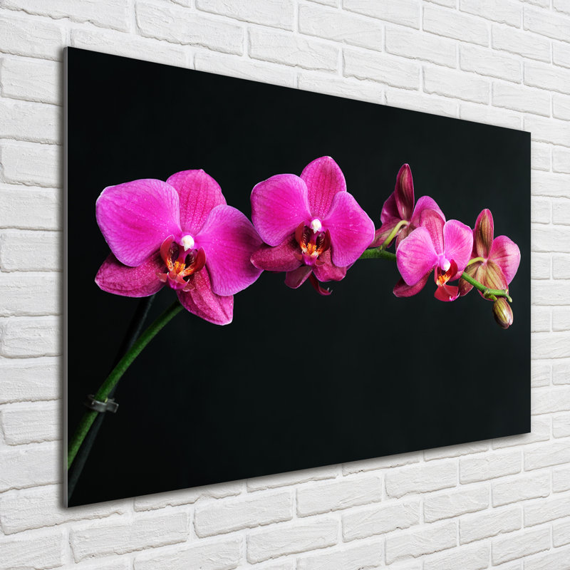 Pink Orchids Curve - Wrapped Canvas Print, 70 cm H x 100 cm W