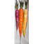 Carottes colorées sur fond gris - reproduction encadrée
