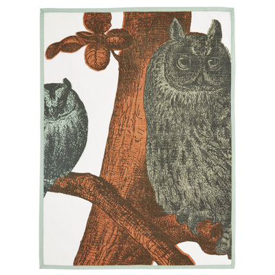 Owls Tea Towels