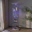 Vitrine moderne en verre avec lumières DEL