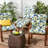 Lester Outdoor Chair Cushion-92145761-92145763-124654057