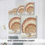 Vintage Shell Vignette II -Galerie enveloppée Cavas-693300869