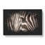 Eye Of The Zebra - Wrapped Canvas-56642741