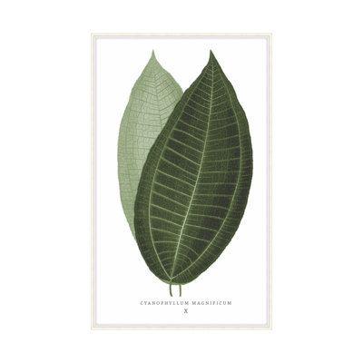 Green Trace 2 Print by Studio L57 Nouvelle