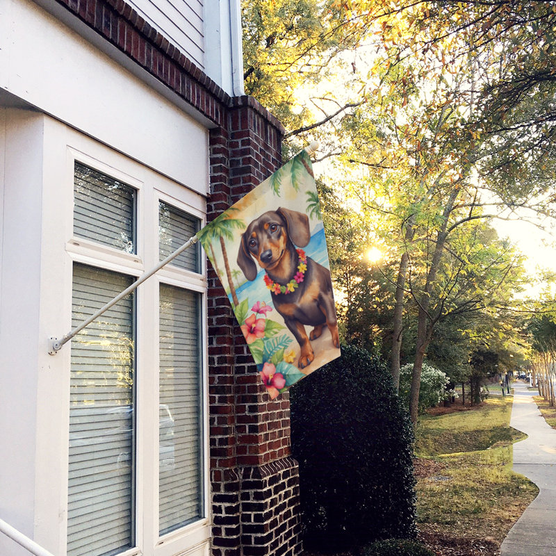 Double Sided 40'' H x 28'' W Polyester Animal House Flag