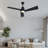 Modern Dimmable Ceiling Fan Light With Remote Control-924146585