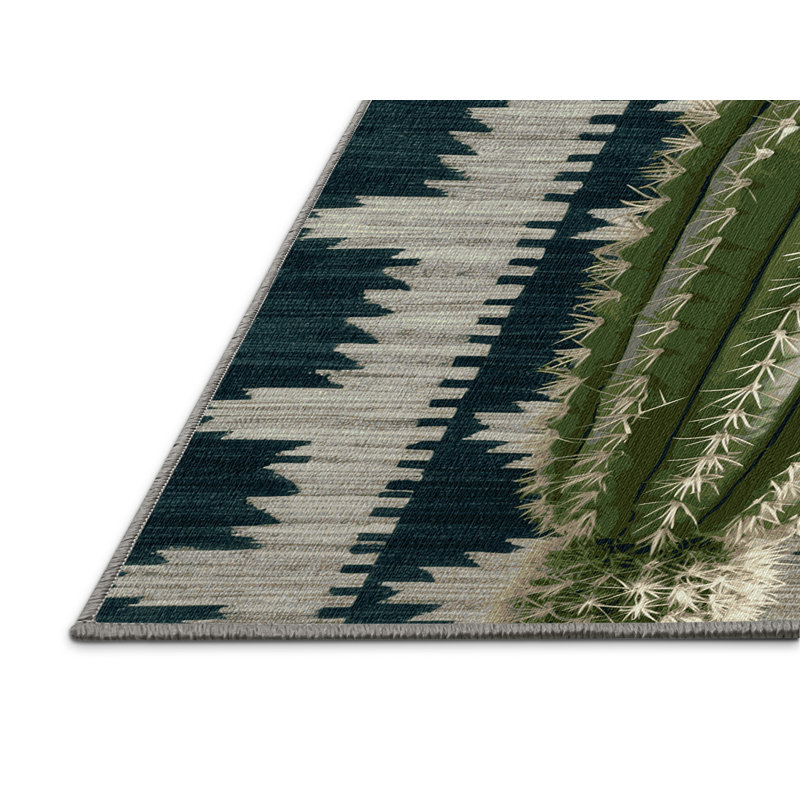 Tapis lavable Cholla Cactus Southwestern, Rectangle 8 pi x 12 pi