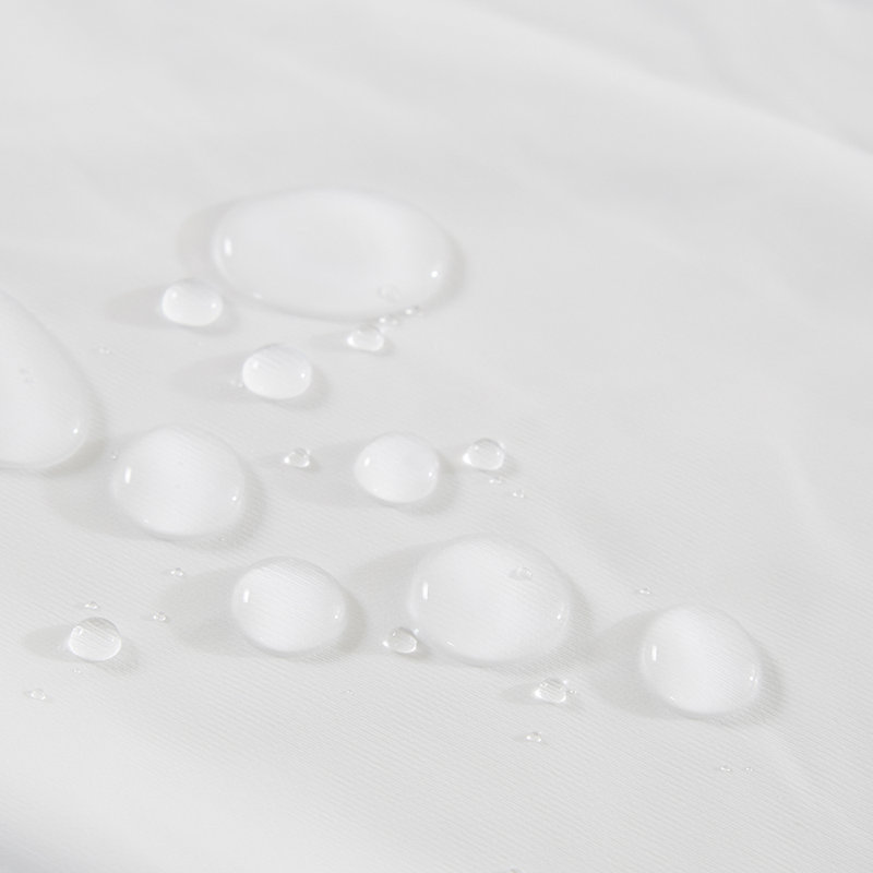 Bemidji Waterproof Fitted Mattress Protector Mattress Protector Case Pack, Twin