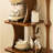 Simple And Practical Multi-Layer Bookcase-104246666