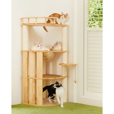 Structure d'escalade simple pour chat