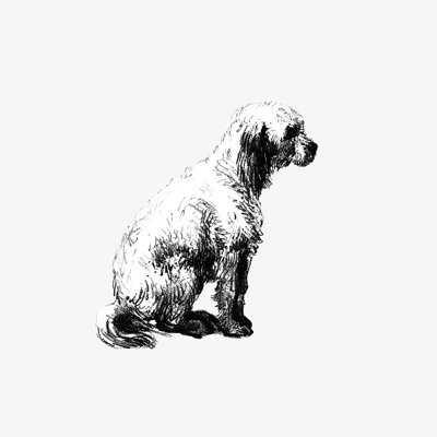 «Akash Vintage Dog Illustration», impression sur toile