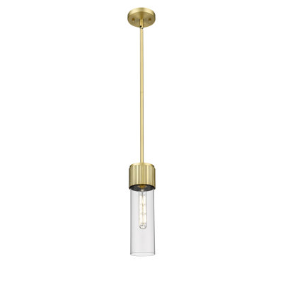 Luminaire suspendu à tige 1 lumière 12 "Bolivar