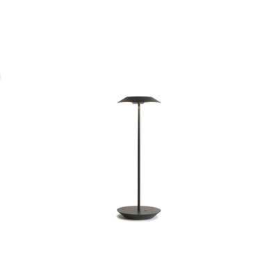 Royyo Metal USB Desk Lamp