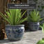 Pot à fleurs en porcelaine Prunty-2062252833