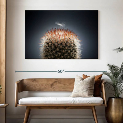 Harnek, graines de pissenlit sur cactus
