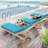 Wynee Outdoor 4'' Chaise Lounge Cushion (1 Pcs)-773941727-804711654