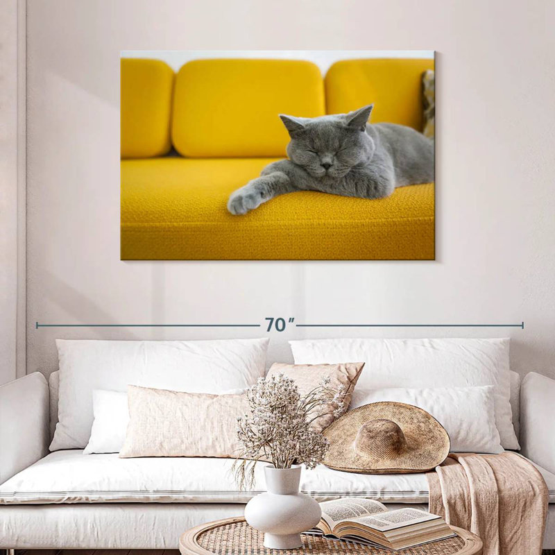 Chat Brampt sur canapé, H 30 po x l 45 po