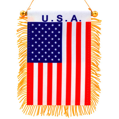 Drapeau suspendu pour fenêtre Anley 4 X 6 pouces Fringy USA