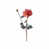 Rose est en rupture de stock