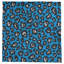 Nappe Football-1576809629-1576809630