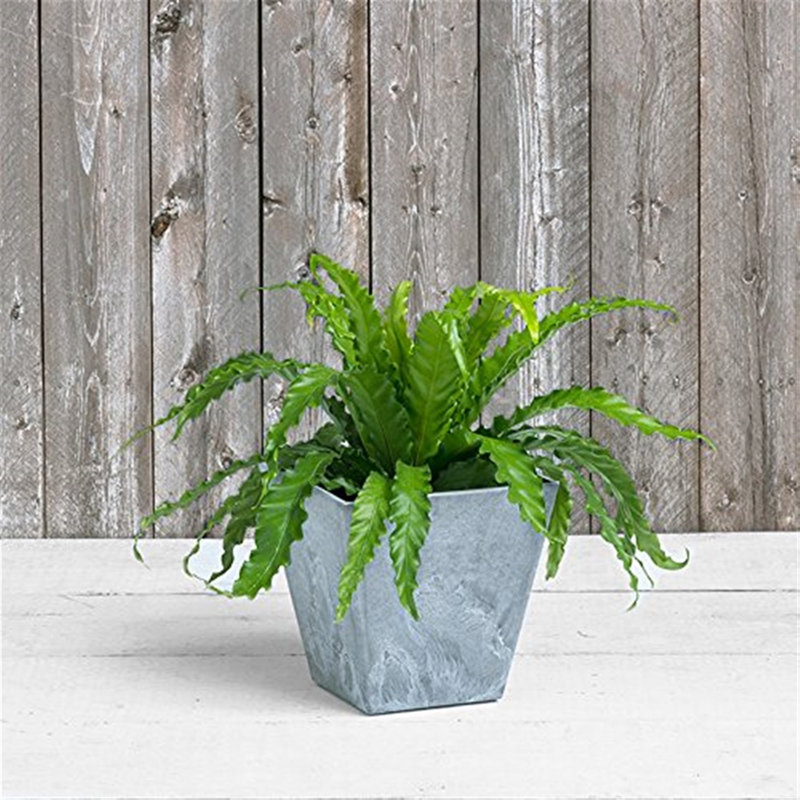 Alaunah Pot Planter, Gray, 6.5" H x 4.5" W x 4.5" D