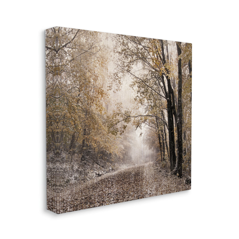 Sunlit Woodland Nature Trail par Danita Delimont - photographie, Giclée encadrée noir minuit, H 17 po x l 17 po x P 1,5 po
