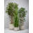 150cm Bamboo Tree in Planter