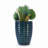 High quality ceramic flowerpot-158105361