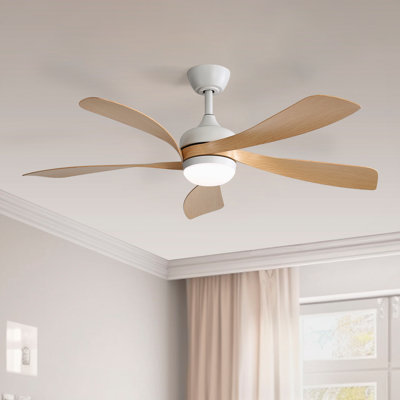 Ventilateur de plafond 52 po avec lumières DEL Damecia