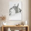 Cheval aux cheveux gris Brampt-108235963