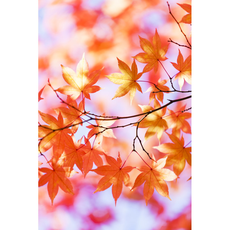 Autumn Orange Leaves 1 Piece Wrapped Canvas Wall Art, 91cm H x 61cm W x 3.8cm D