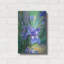 "Iris" par Richard Wallich
