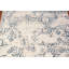 Transitional Oriental Rug 4x6
