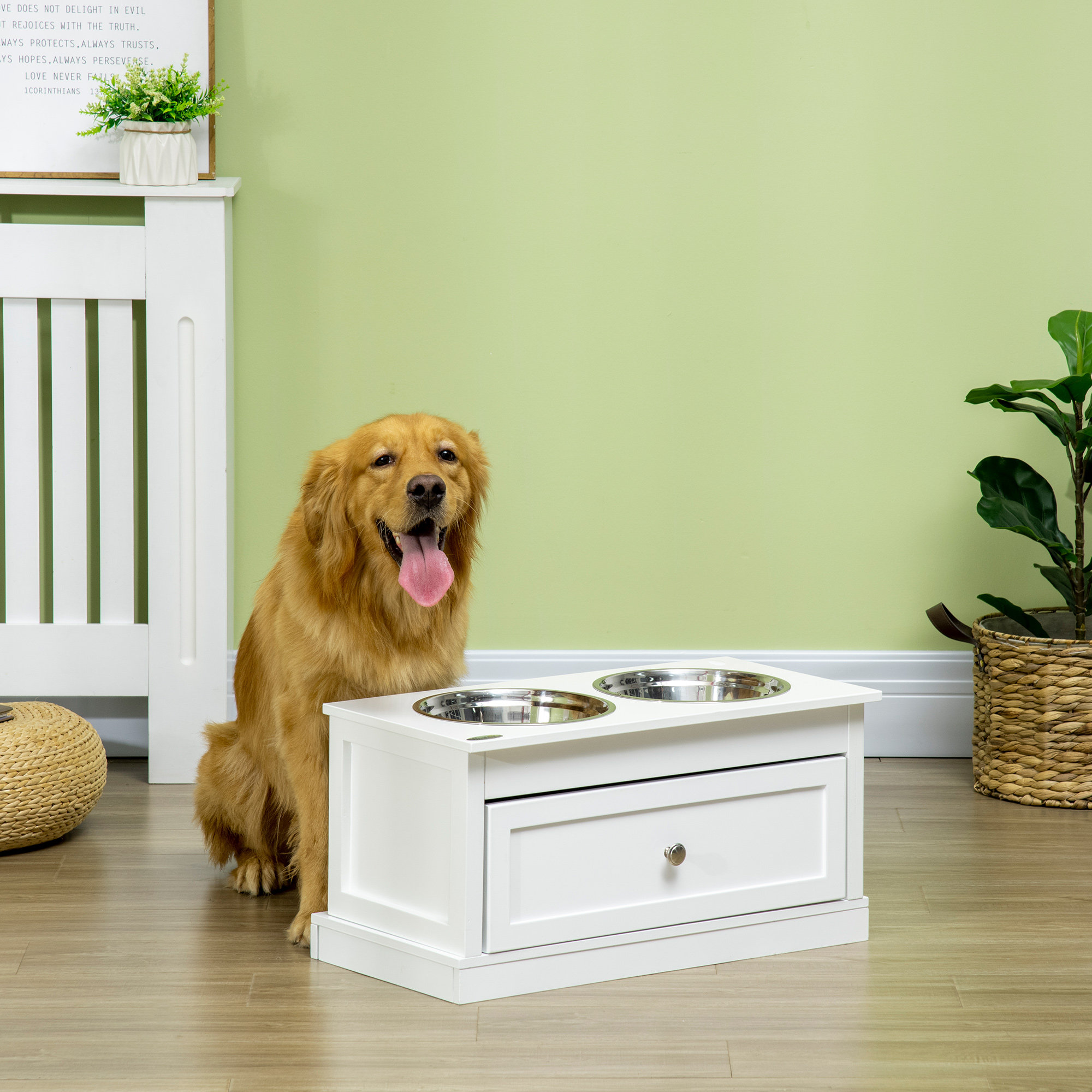 Pet Feeder Station Roomfitters Color: White