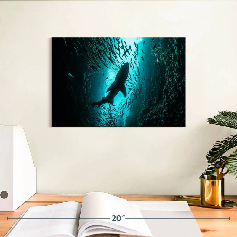 Brampt Shark Depth, 8" H x 12" W
