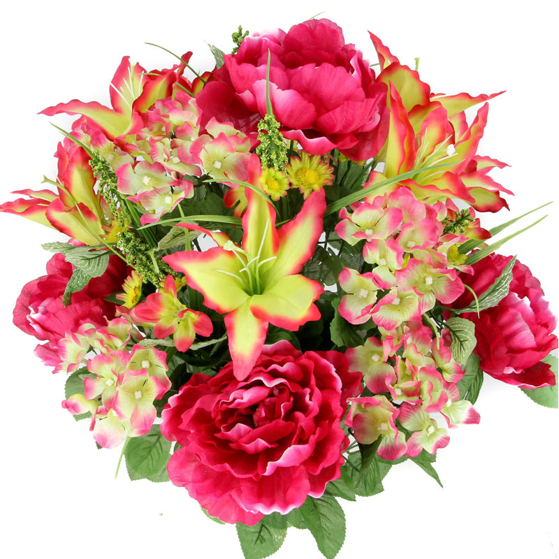 24 arbustes mixtes, Velours