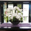 Fleurs d'orchidées blanches 18 po Phalaenopsis dans un vase en céramique noire