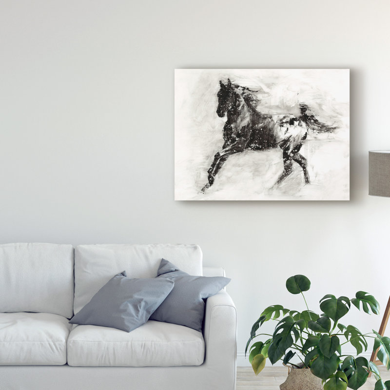 «Rustic Appaloosa II» par Ethan Harper - reproduction d'art sur toile, H 18 po x l 24 po x P 2 po