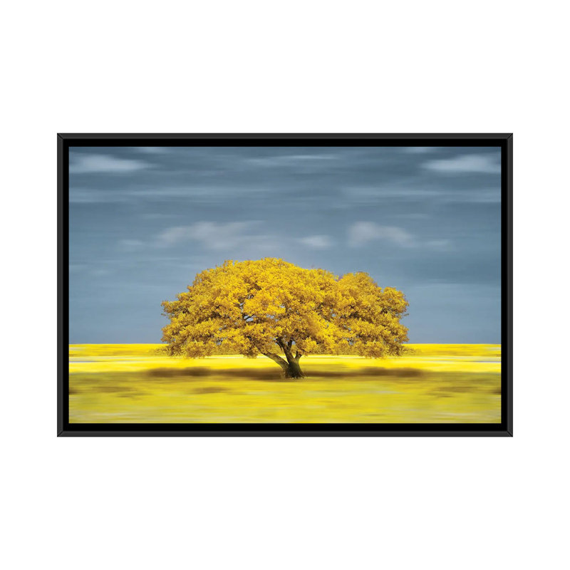 Lonely Yellow On The Field by Glauco Meneghelli - Floater Frame Print on Canvas, Black Floater Frame, 101.6 cm H x 66.04 cm W