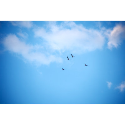 Ciel - photographie sur toile tendue