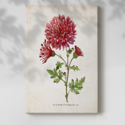 Botanical III - Cavas enveloppés de galerie