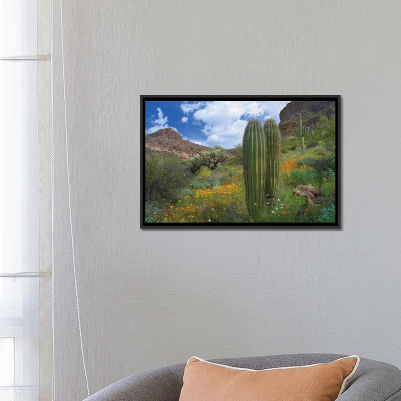 «Saguaro Amid Flowering Lupine» par Tim Fitzharris - reproduction de photo sur toile tendue, H 18 po x l 26 po x P 1,5 po