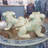 Animal Figurines & Sculptures