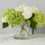 Vase transparent-1890800714